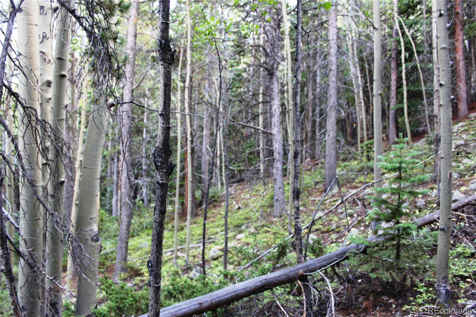 5340 Fs 718 1 Lot 5340, Black Hawk, CO 80422