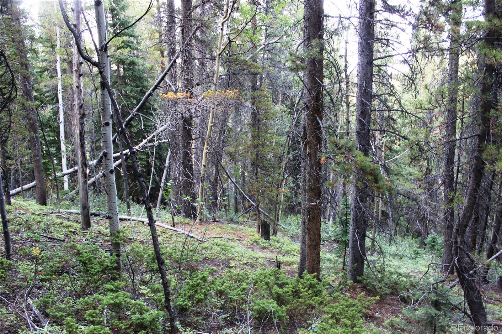 5340 Fs 718 1 Lot 5340, Black Hawk, CO 80422