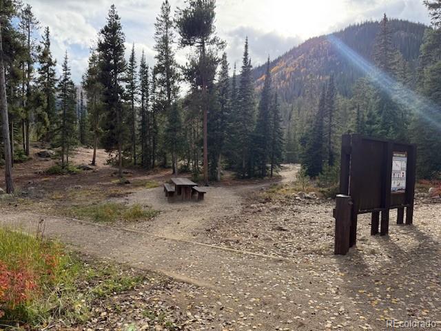 54 Windy Gap Loop Lot C8, Empire, CO 80438