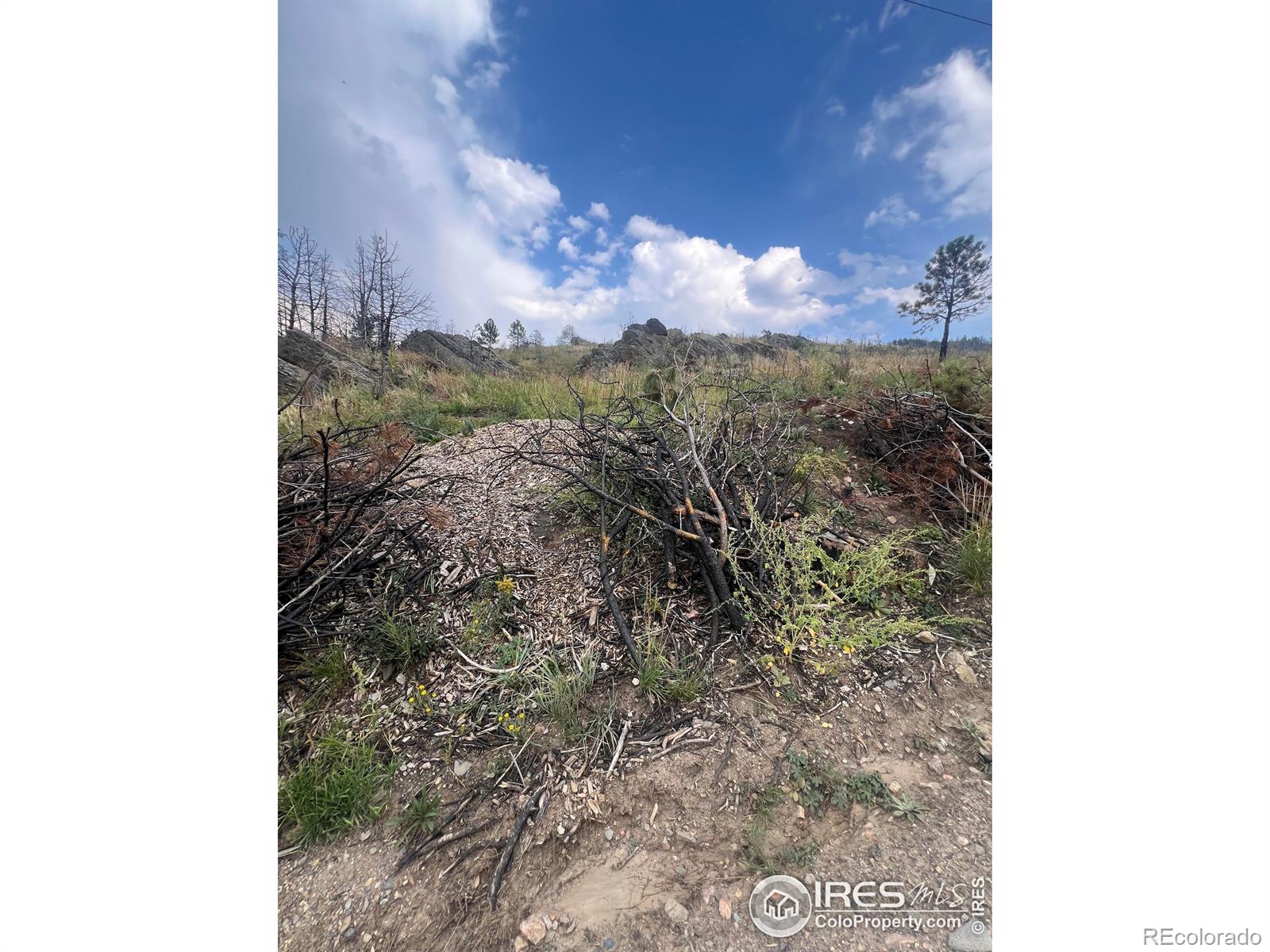 883 Palisade Mountain Dr, Drake, CO 80515