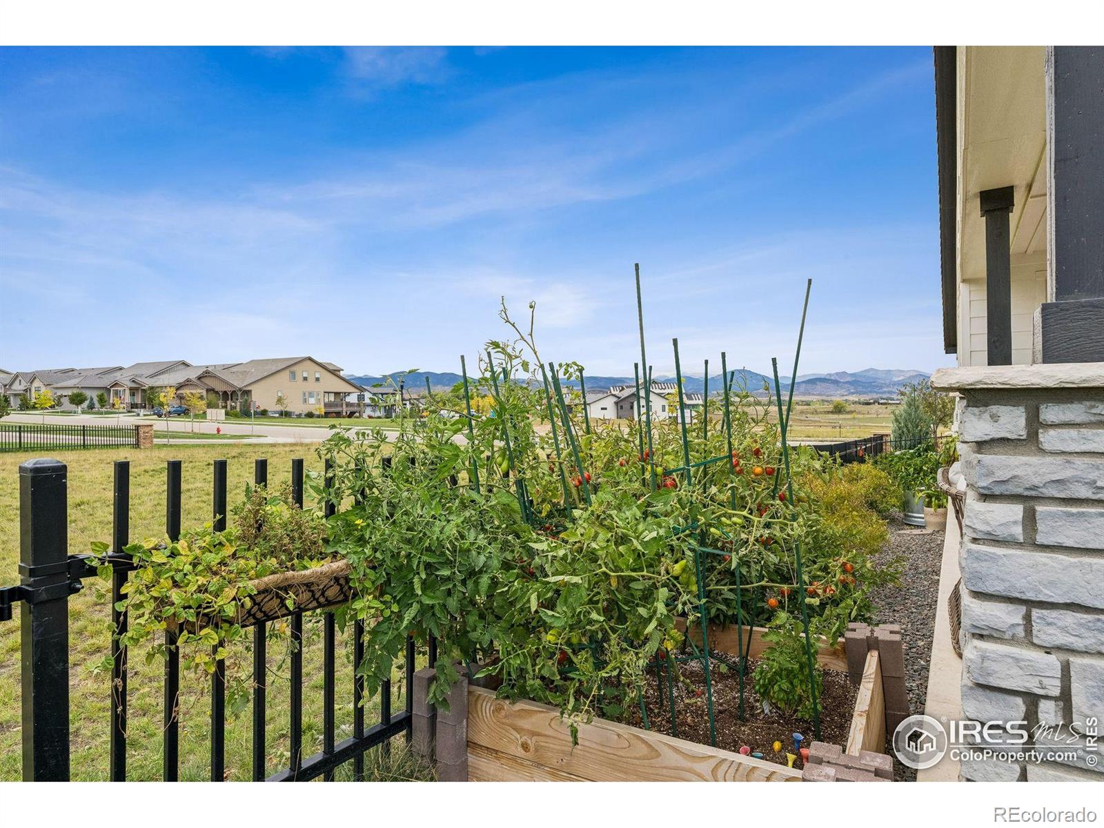 3384 Heron Lakes Pw, Berthoud, CO 80513