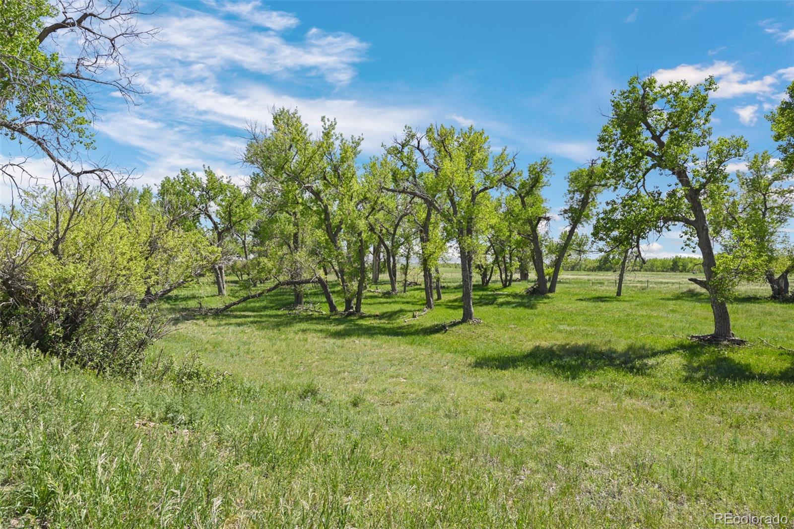 Parcel A W County Road 105, Ramah, CO 80832