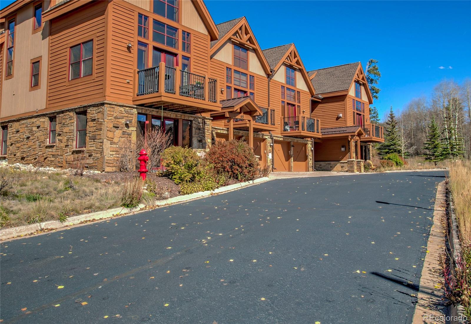 65 Antlers Gulch Rd #502, Dillon, CO 80435