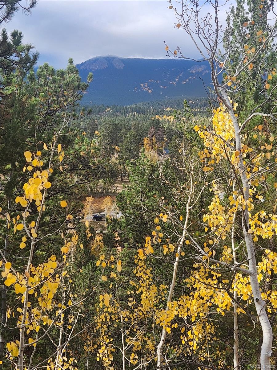 72 Hall Rd, Bailey, CO 80421