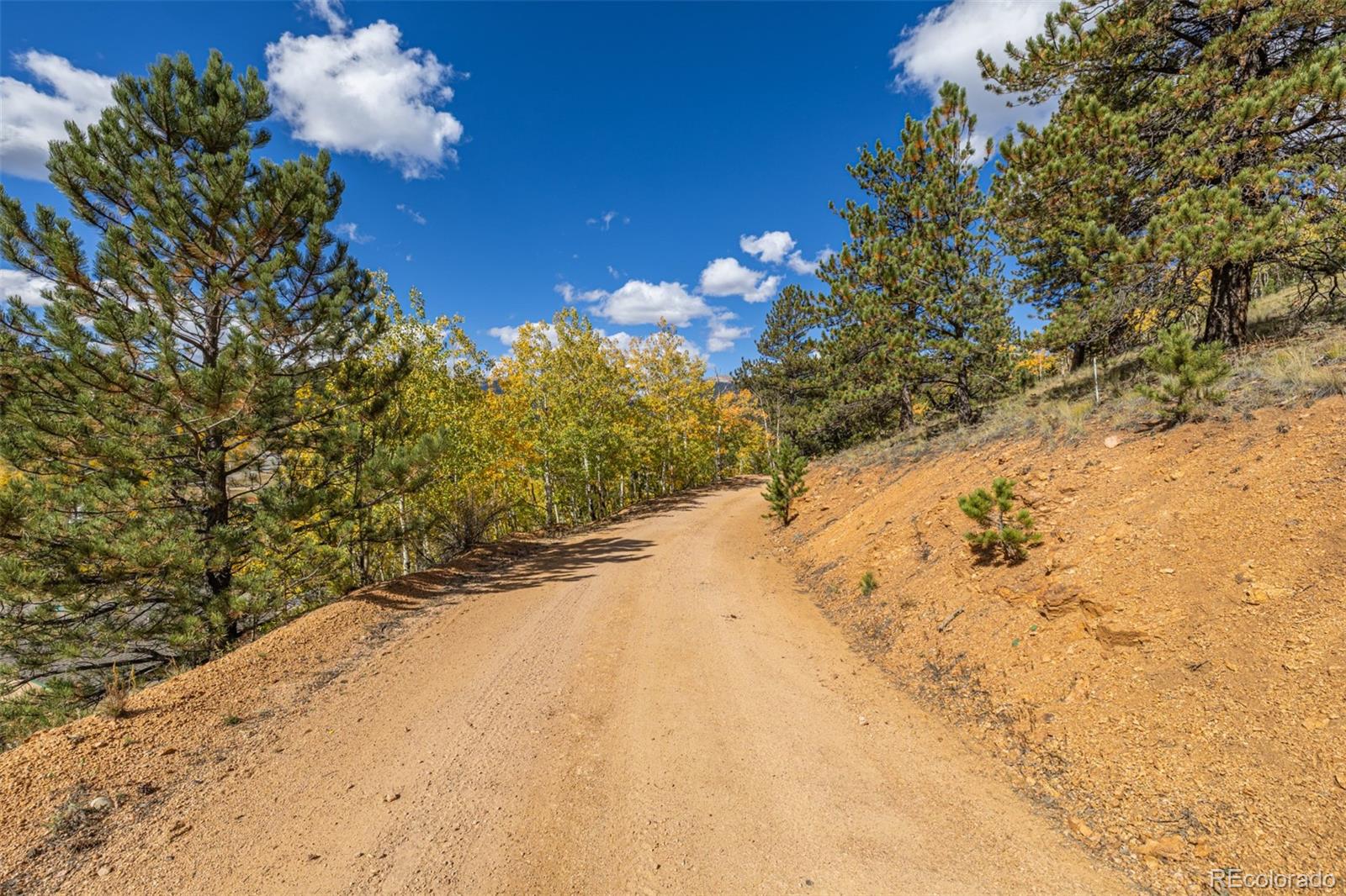 103 Gross Rd, Bailey, CO 80421