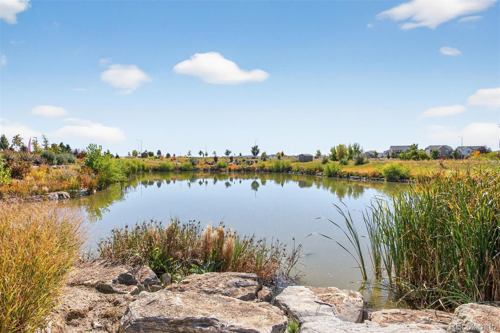 5136 N Quemoy Ct, Aurora, CO 80019