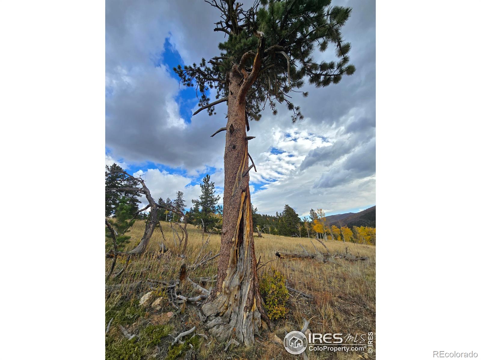 0 Arapaho Dr, Bellvue, CO 80512