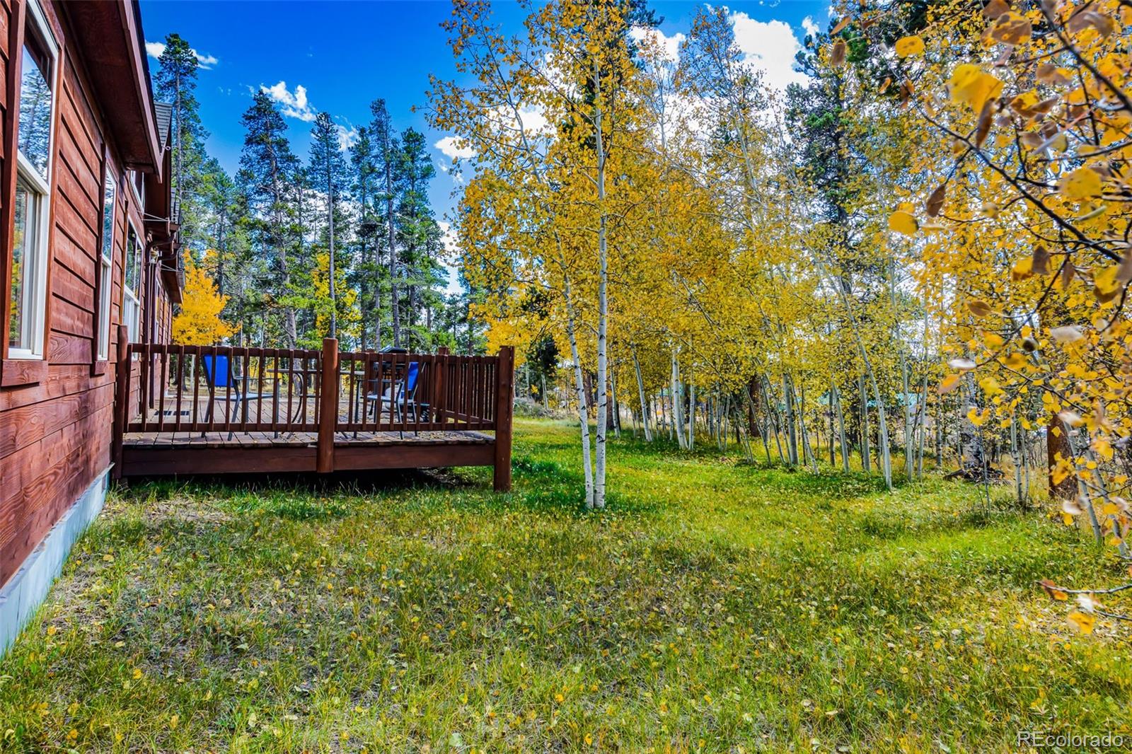 133 Foxtail Ct, Fairplay, CO 80440