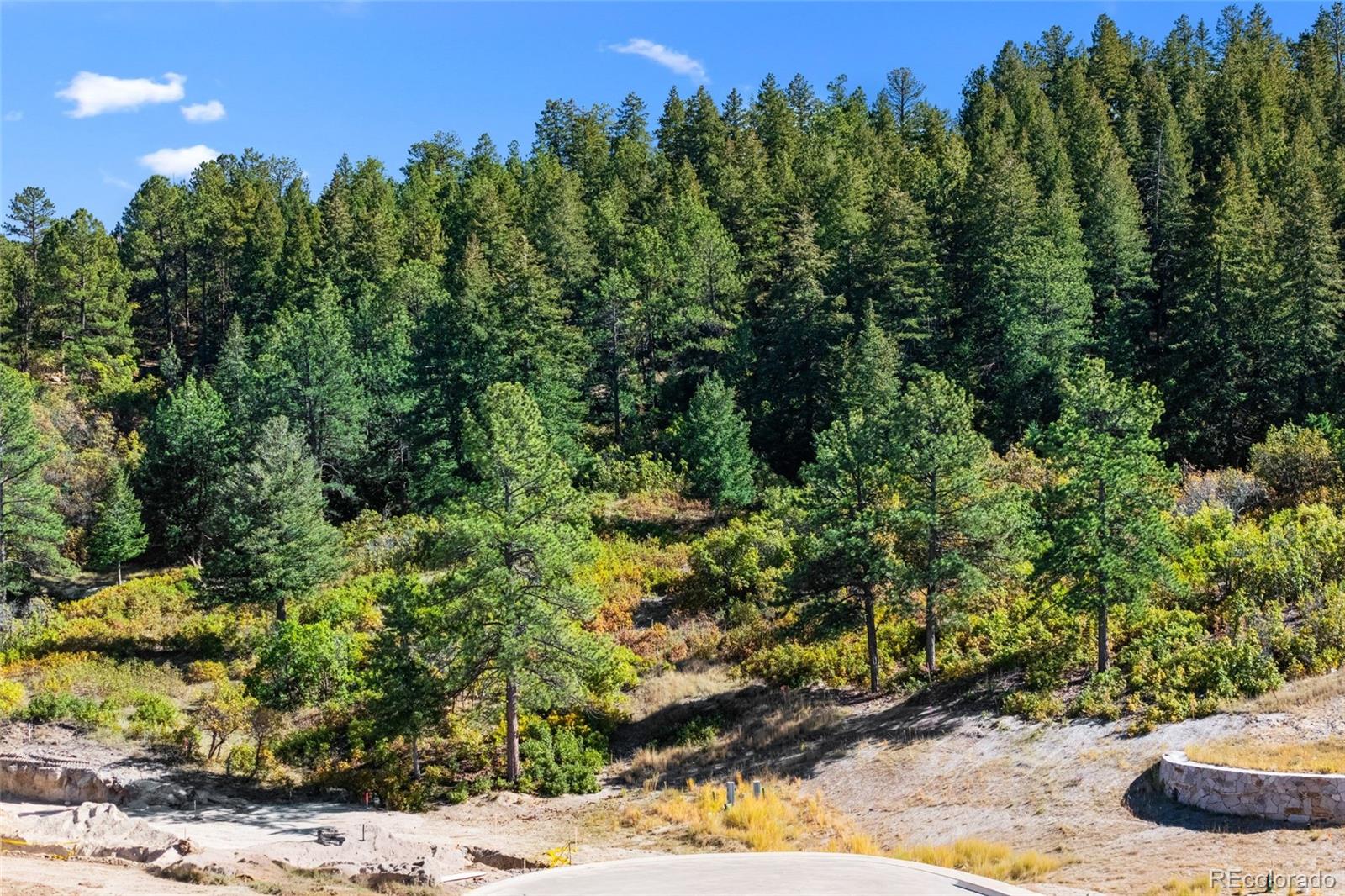 1095 Golf Estates Point Lot 13, Castle Rock, CO 80108