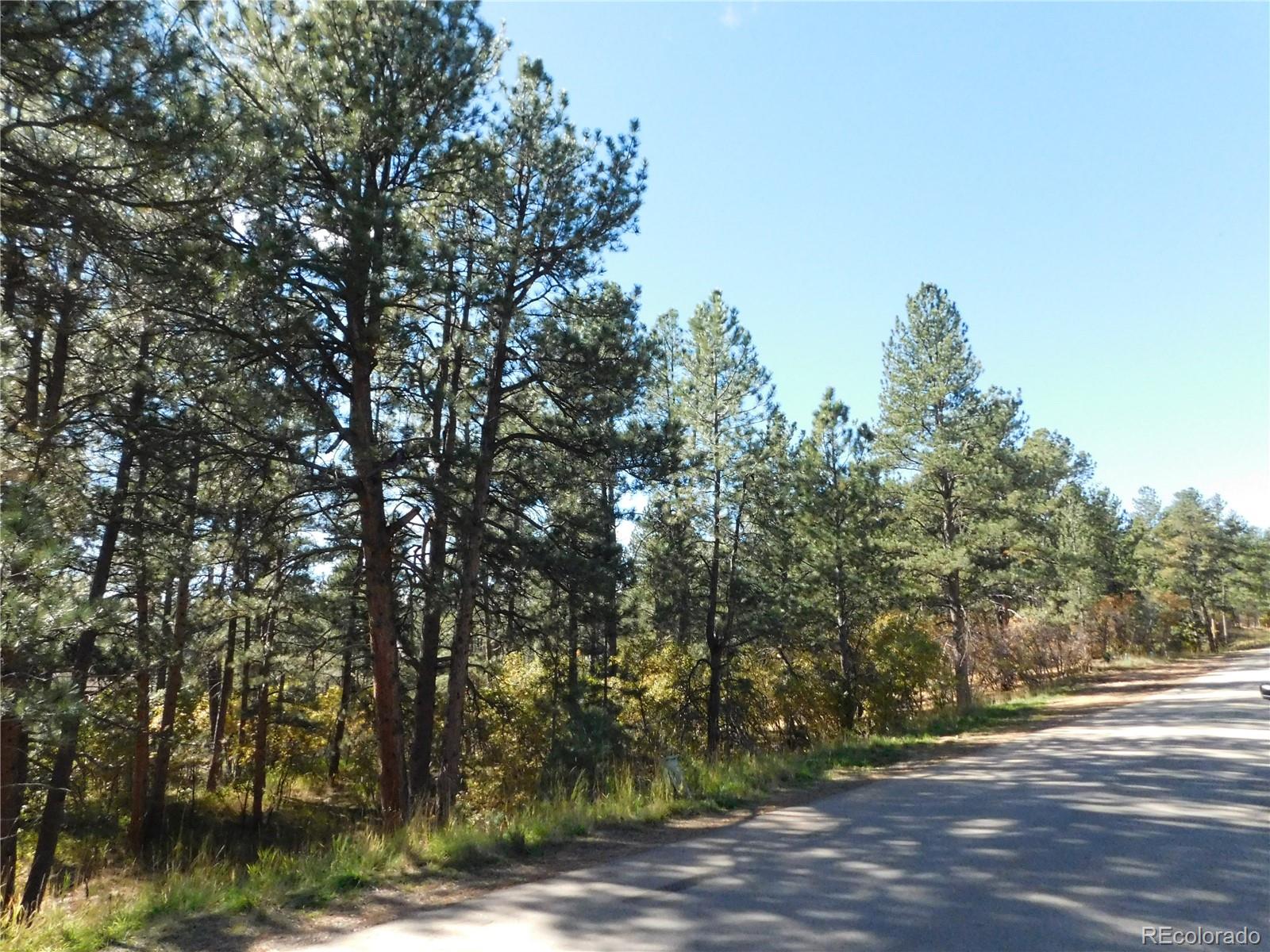 682 Copper Fox Pl, Larkspur, CO 80118