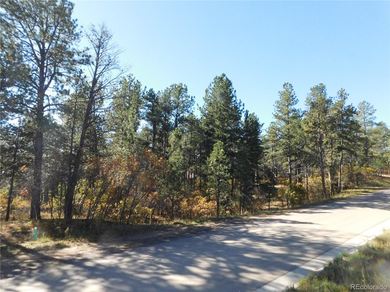 720 Copper Fox Pl, Larkspur, CO 80118
