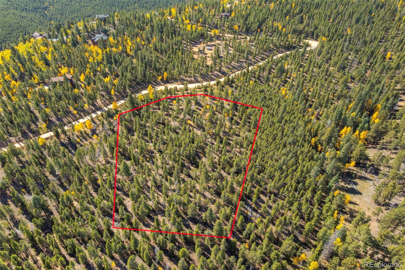 1001 Royal Ridge Dr, Bailey, CO 80421