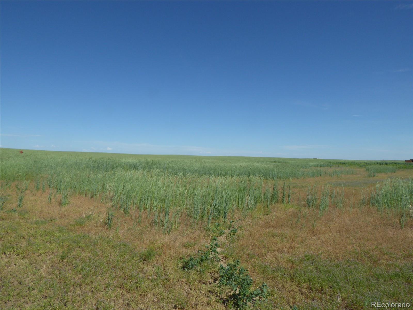 4242 Cr 185, Byers, CO 80103