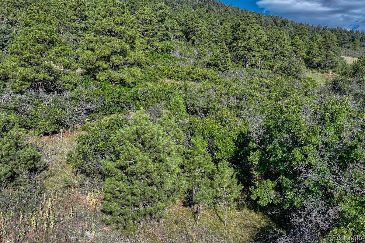 00 Columbine Rd, Larkspur, CO 80118