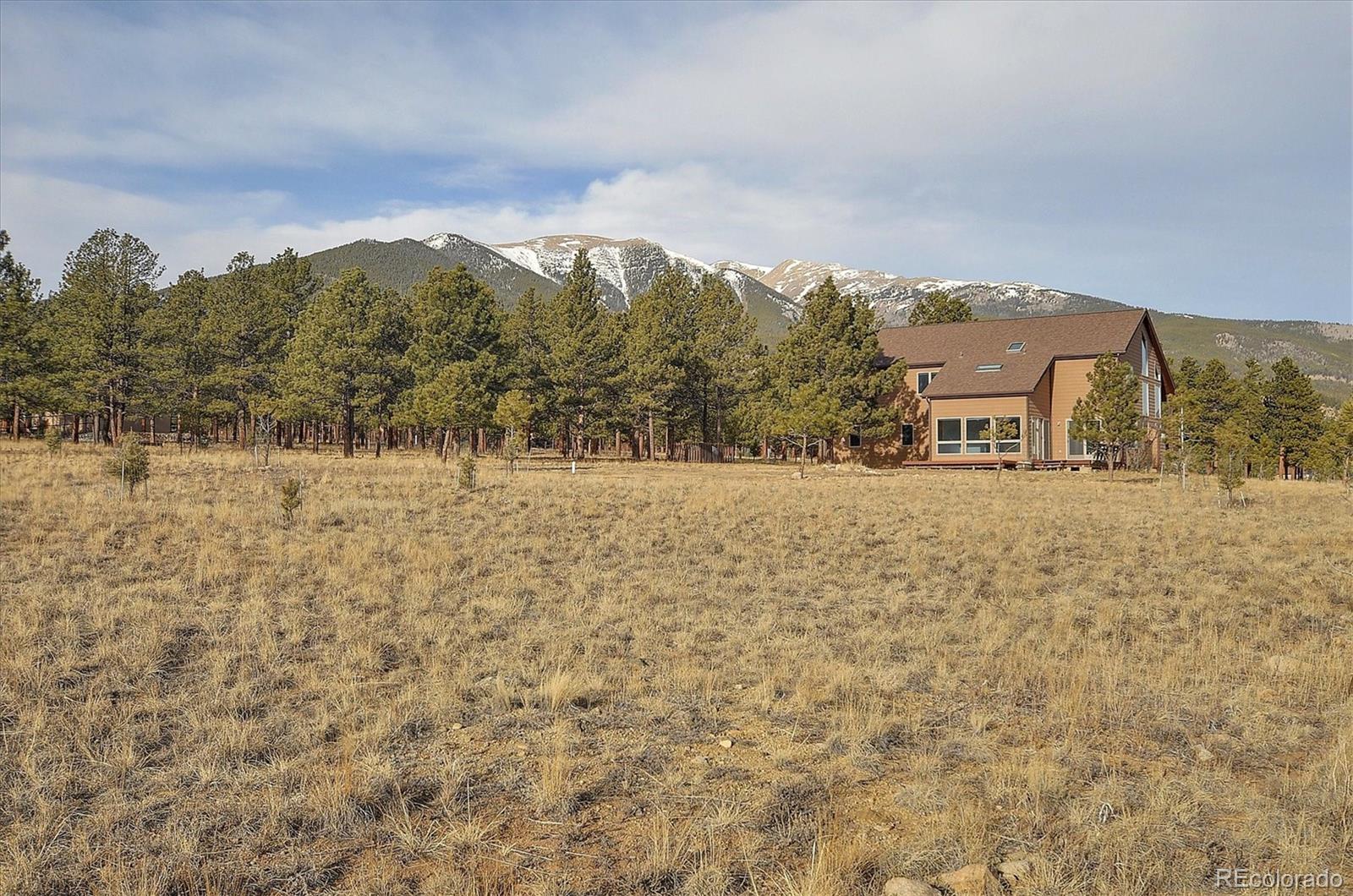 31219 Northwoods Cir, Buena Vista, CO 81211