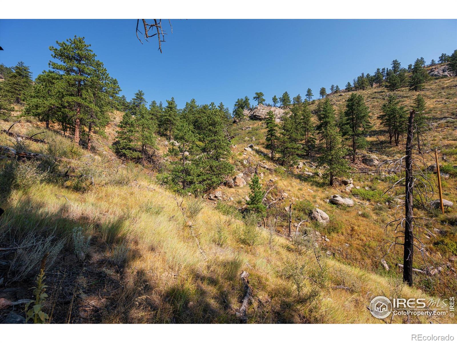 0 Pine Acres Way, Bellvue, CO 80512