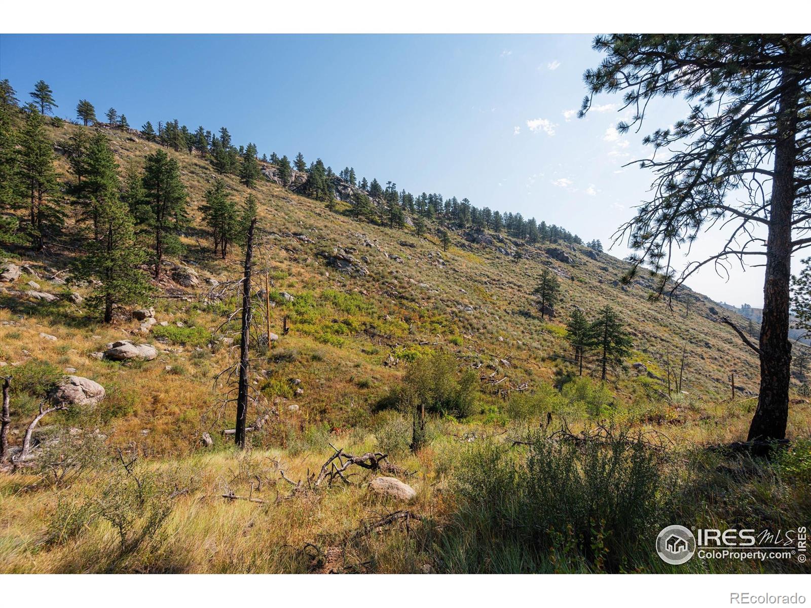 0 Pine Acres Way, Bellvue, CO 80512