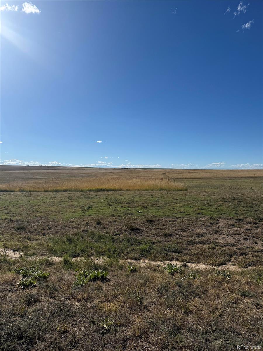 7337 Van Sickle St, Strasburg, CO 80136