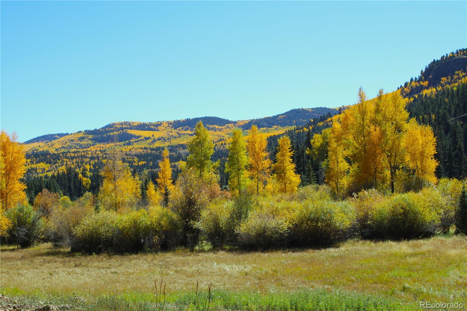 38938 Nf 250, Antonito, CO 81120
