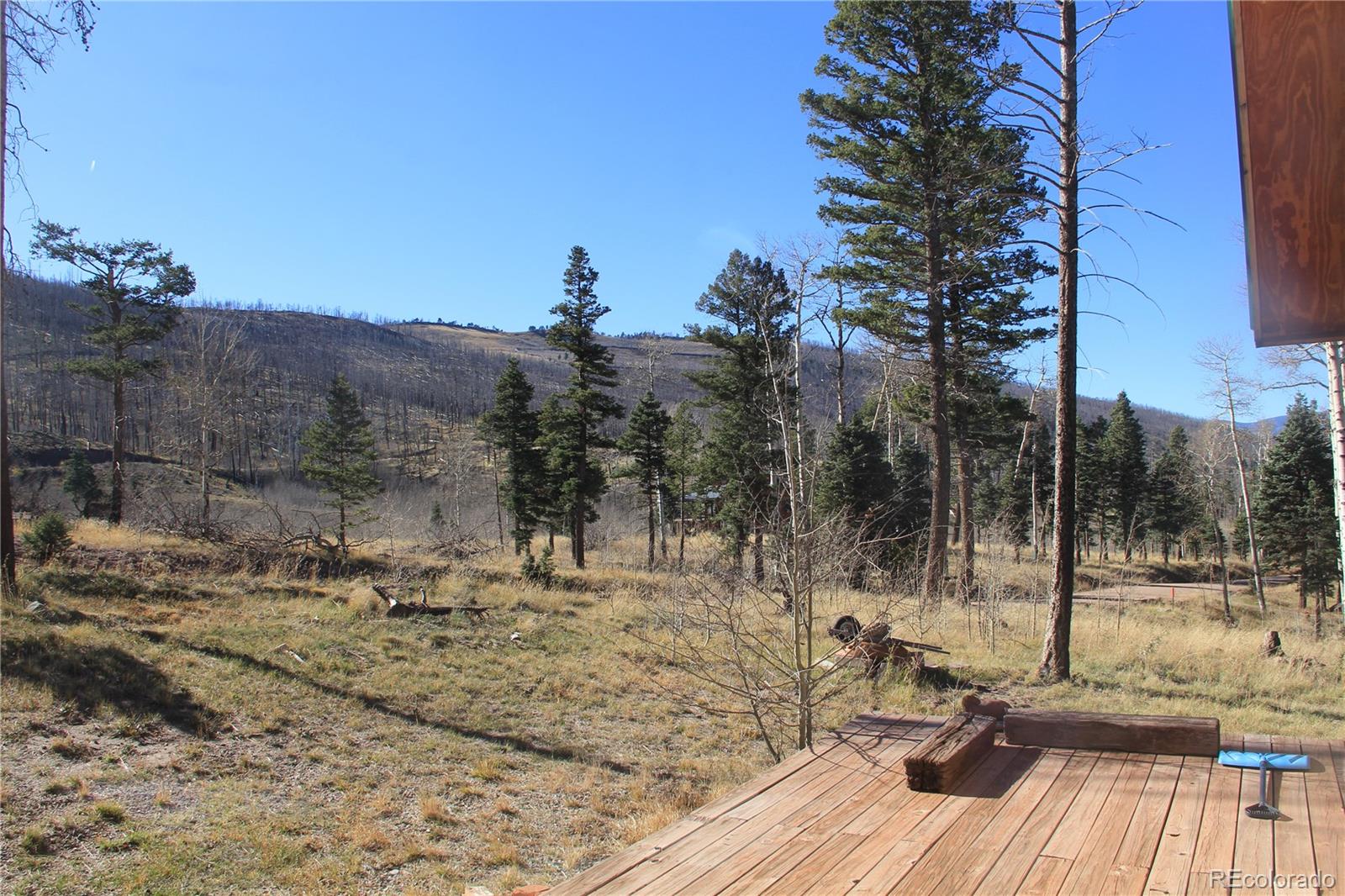 958 Forbes Park Rd, Fort Garland, CO 81133
