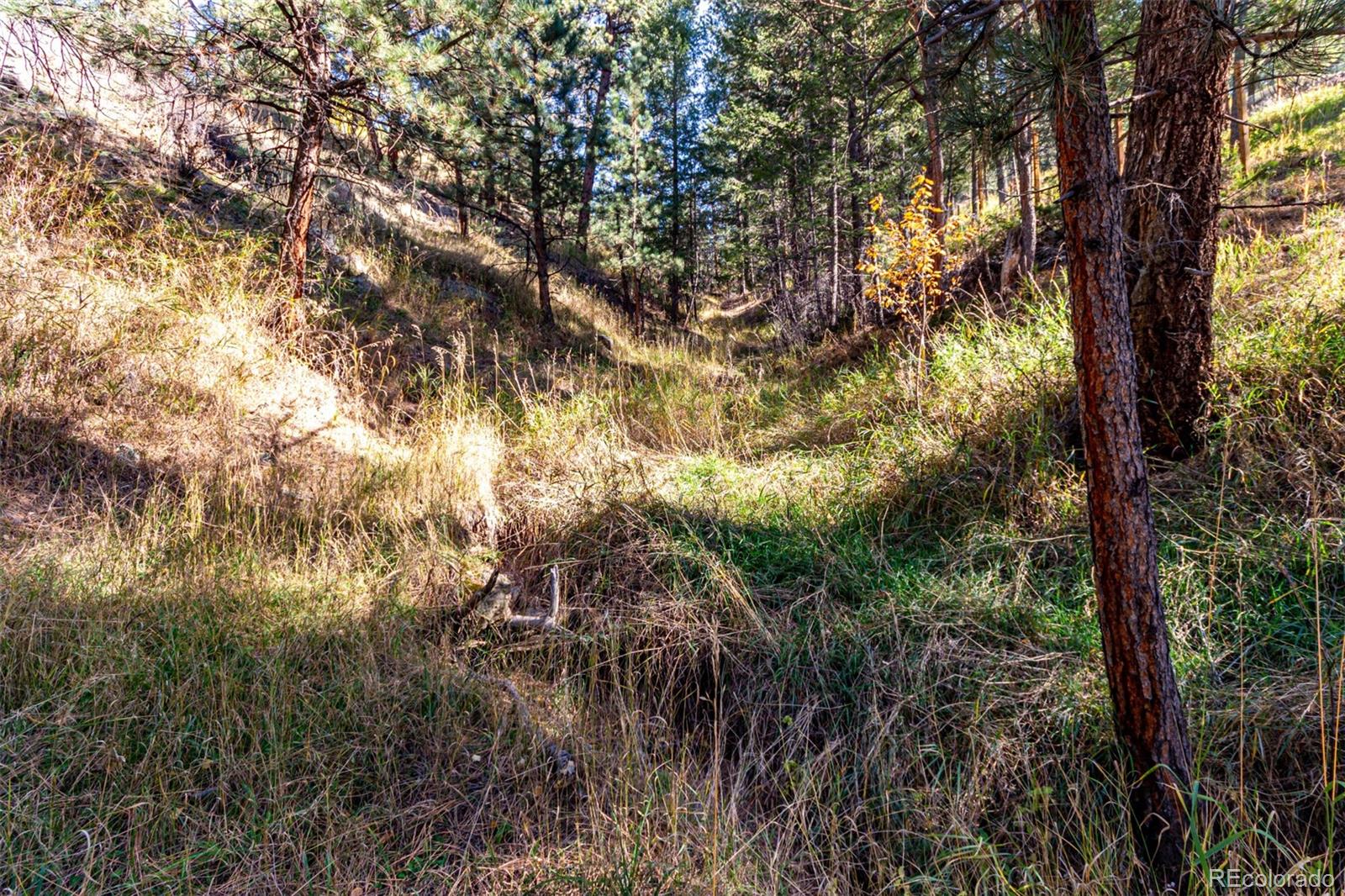 27406 Mountain Park Rd Lot 33, Evergreen, CO 80439