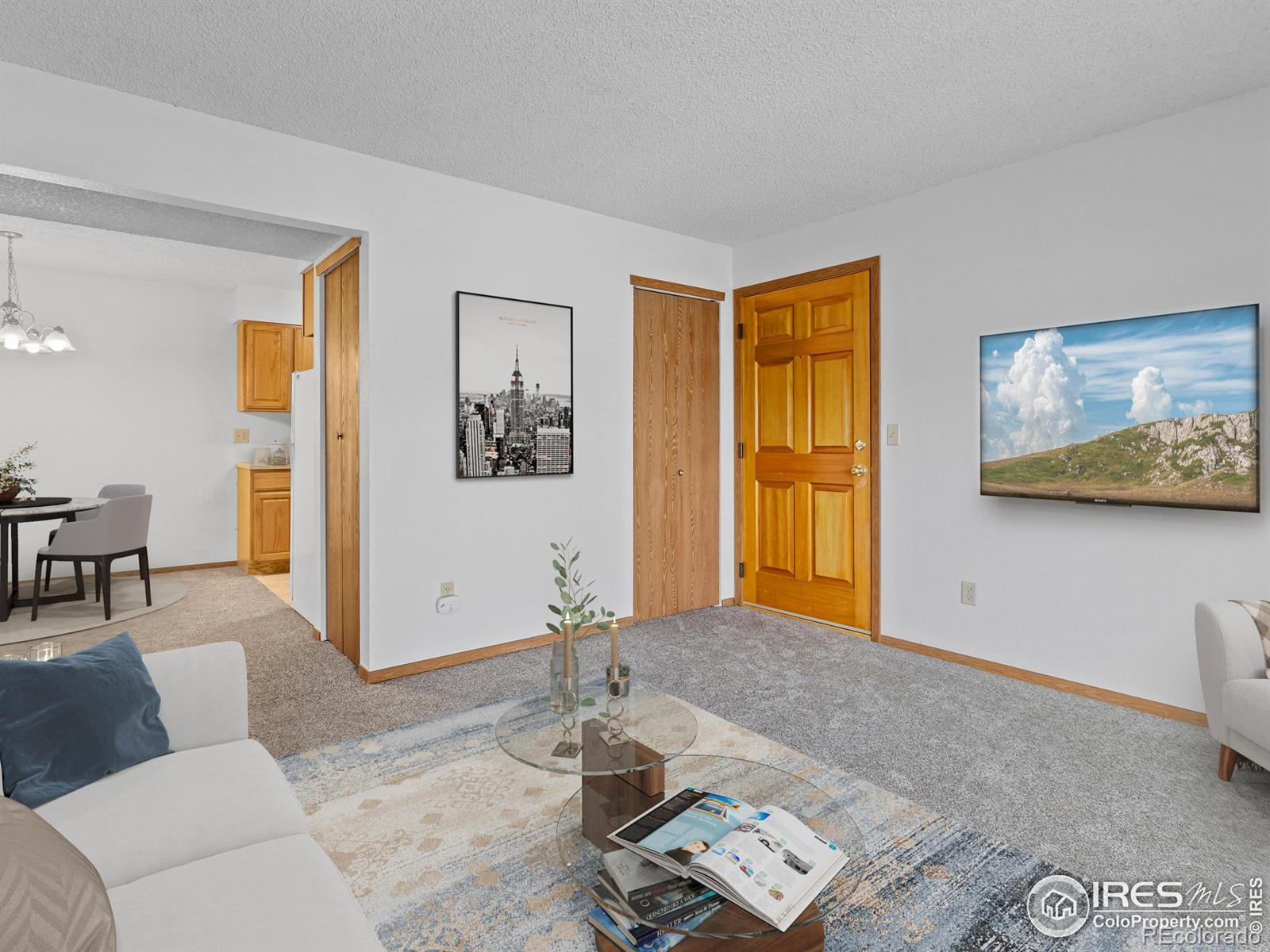 1155 S Saint Vrain Ave #1-3, Estes Park, CO 80517