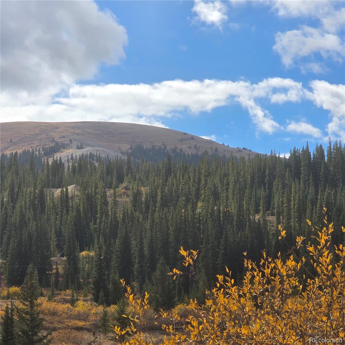 5347 Monitor Lode Claims, Leadville, CO 80461