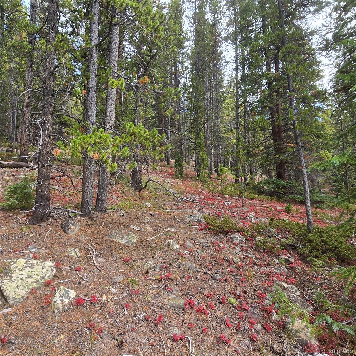 5347 Monitor Lode Claims, Leadville, CO 80461