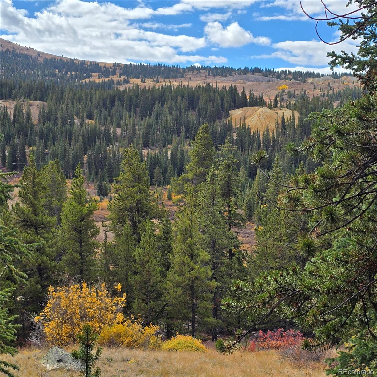 5347 Monitor Lode Claims, Leadville, CO 80461