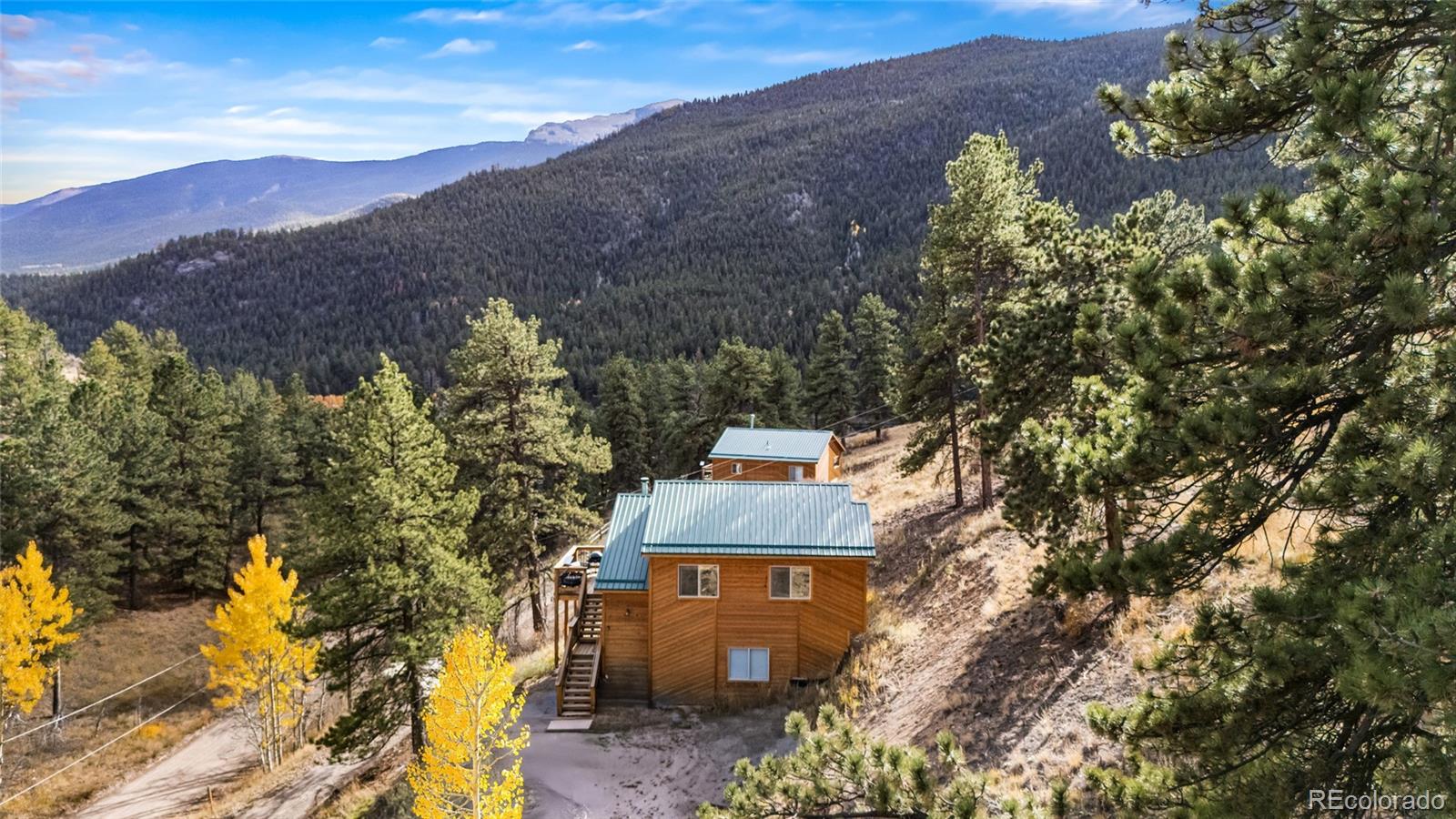 225 E Cline Dr, Shawnee, CO 80475
