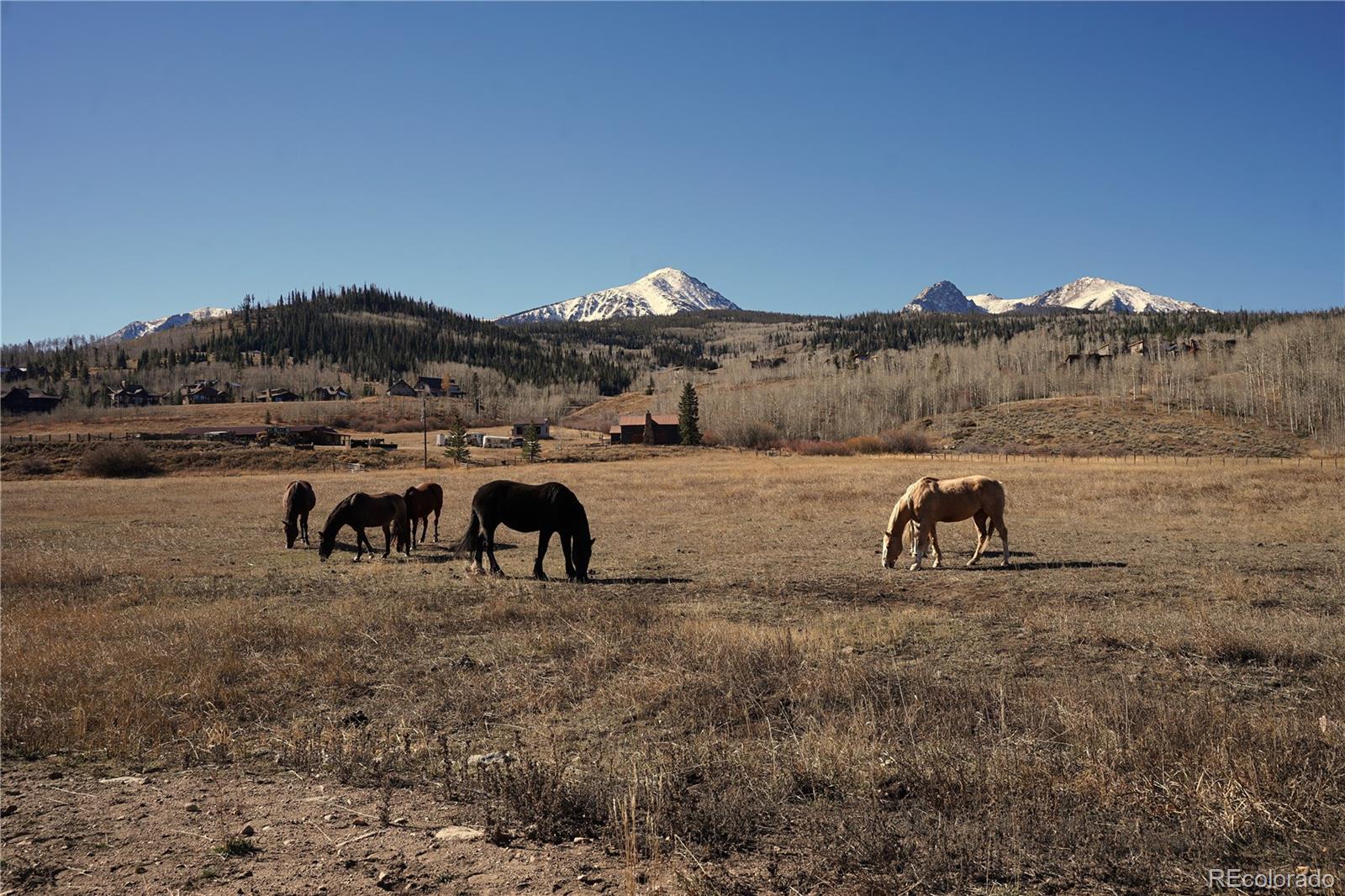 248 Caddo, Hartsel, CO 80449