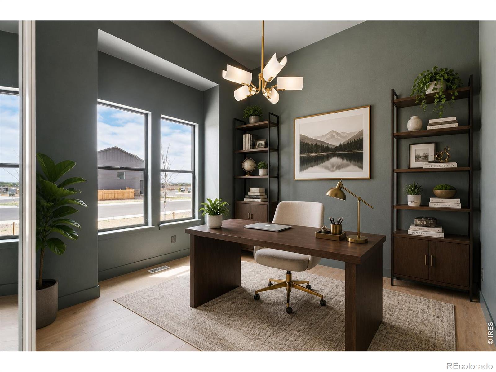 176 Blue Fortune Dr, Windsor, CO 80550