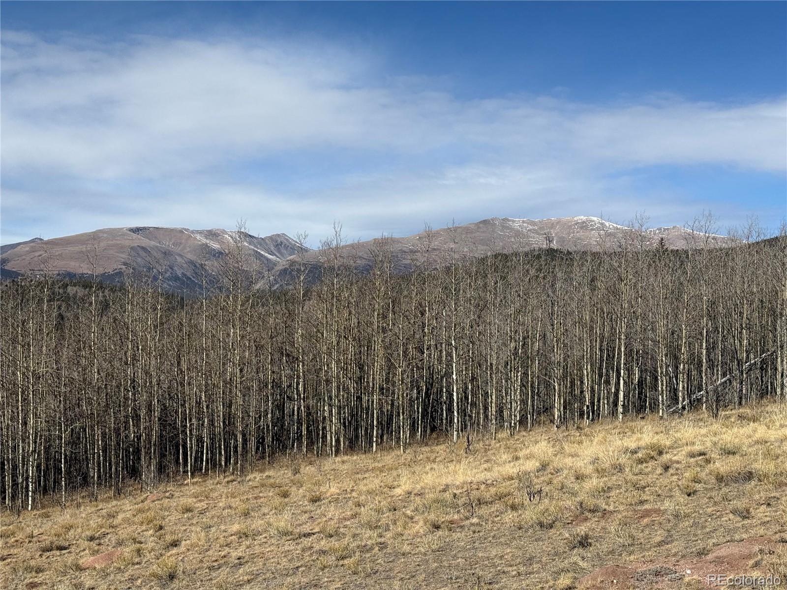 416 Little Baldy Cir, Fairplay, CO 80440