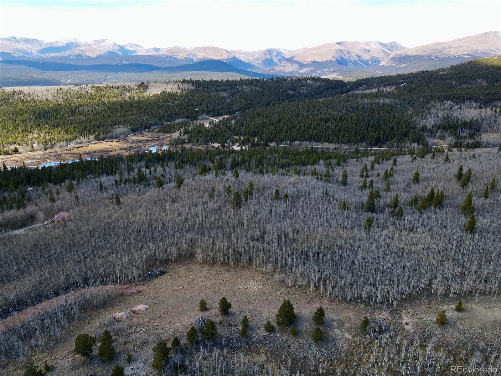 416 Little Baldy Cir, Fairplay, CO 80440