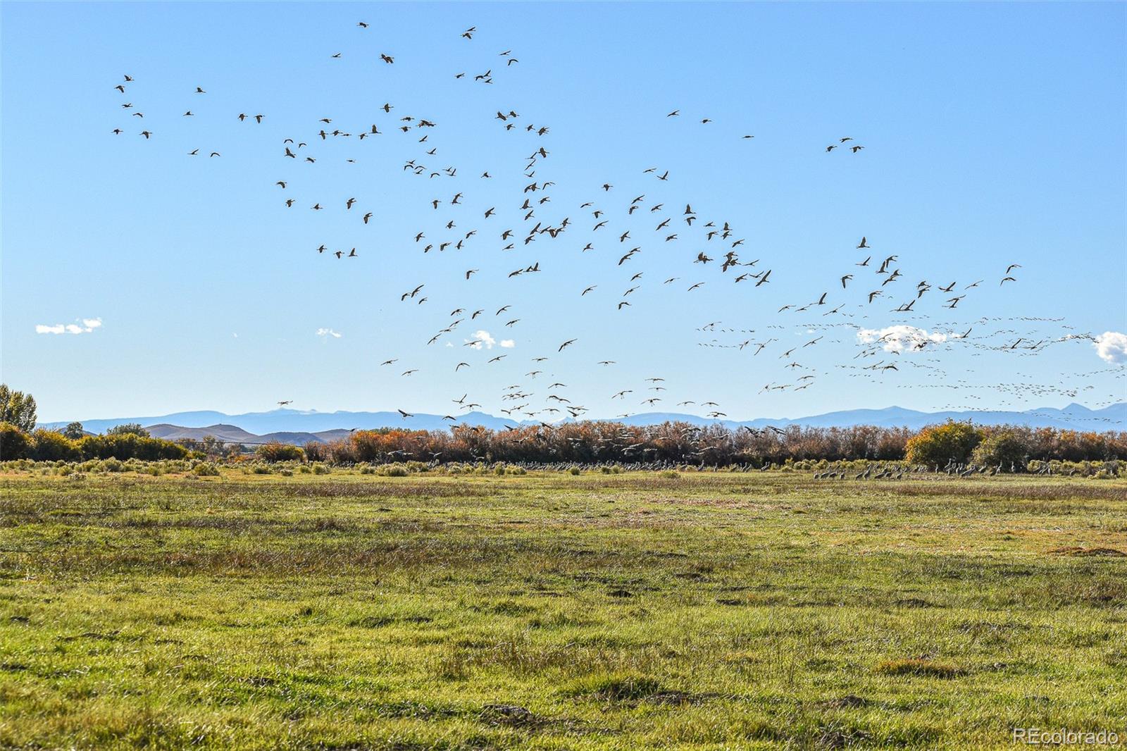 0 County Road 15 5, Blanca, CO 81123