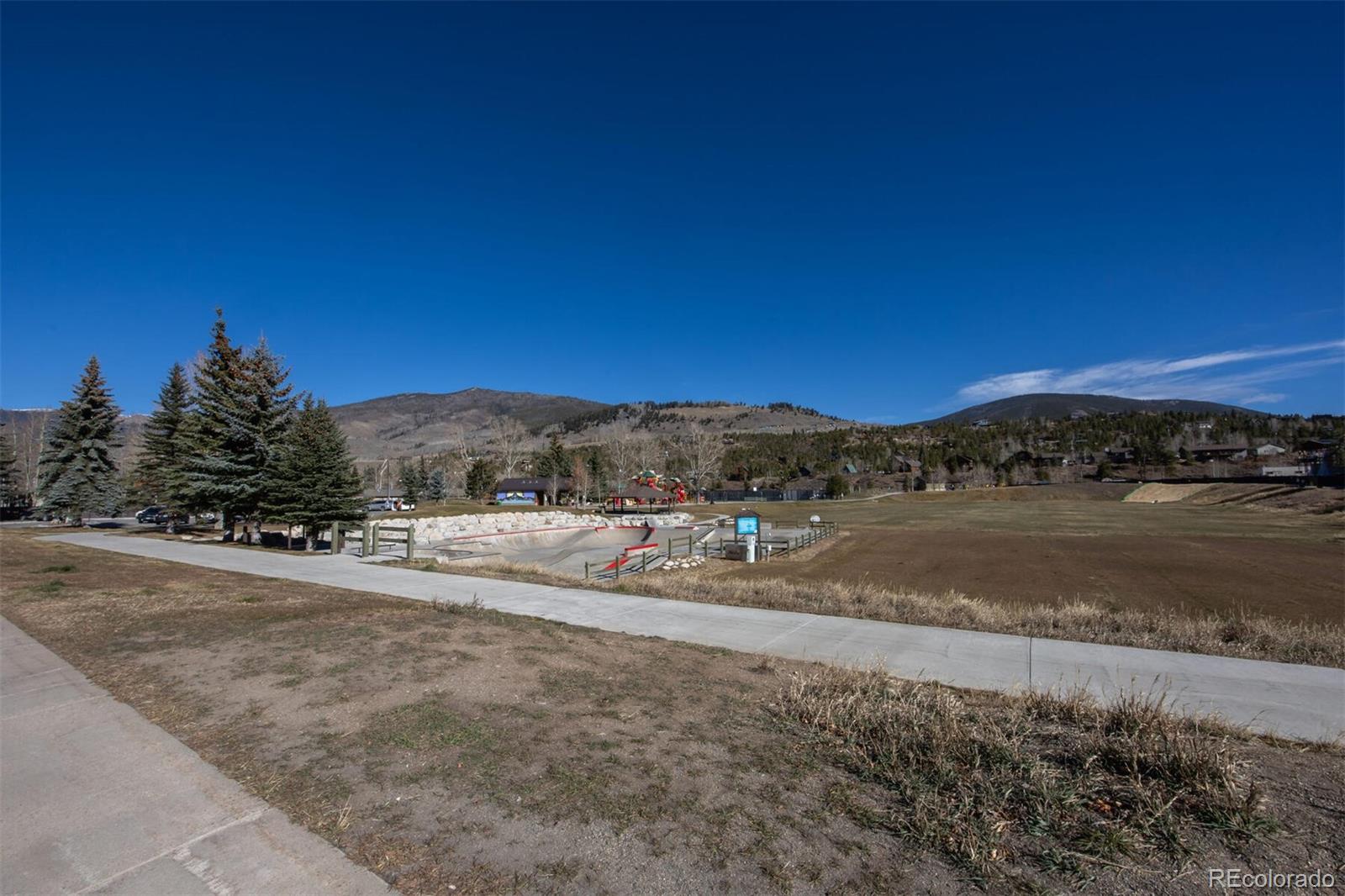 420 Reese Rd, Silverthorne, CO 80498
