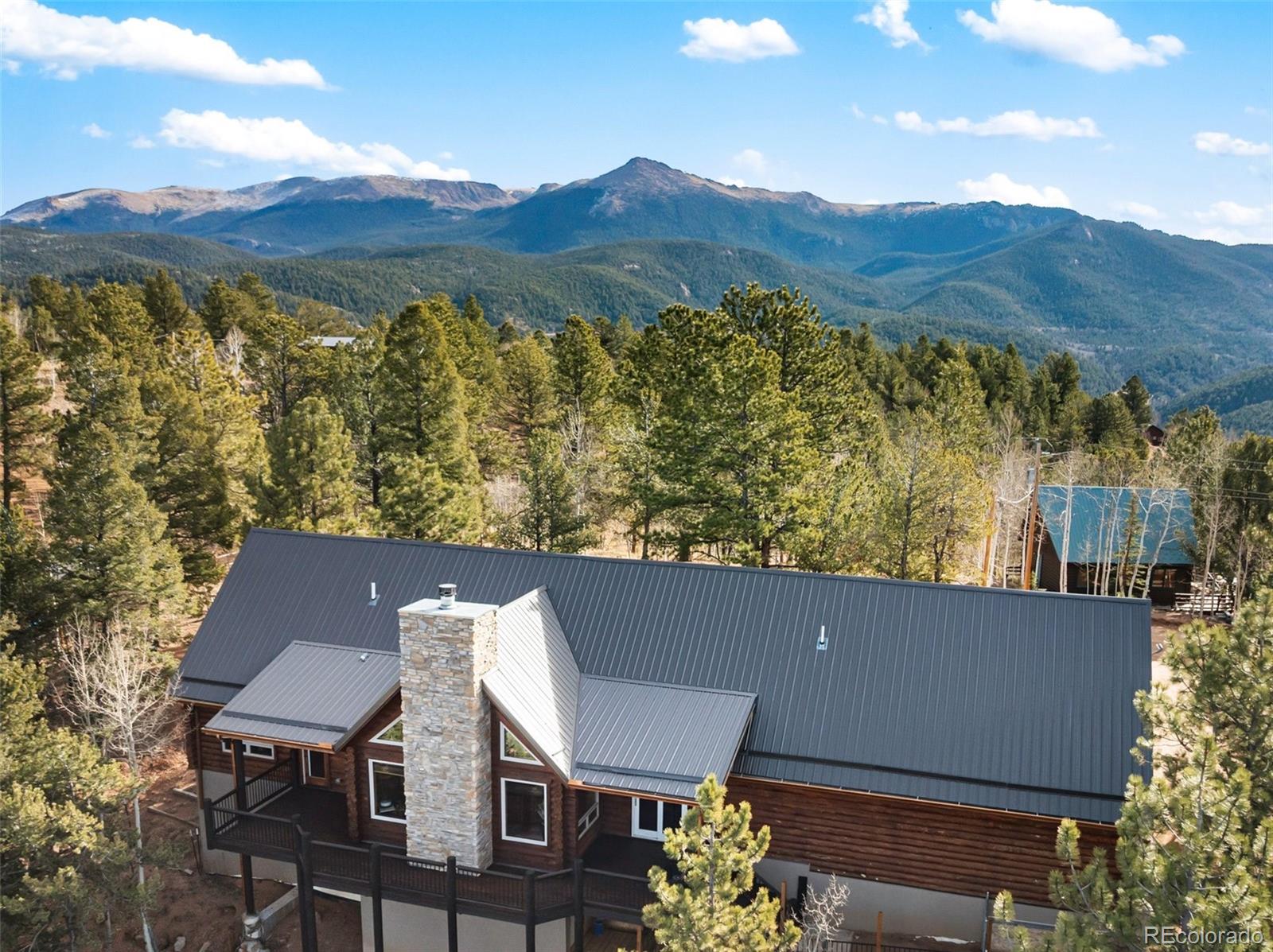 111 Blue Spruce Rd, Divide, CO 80814