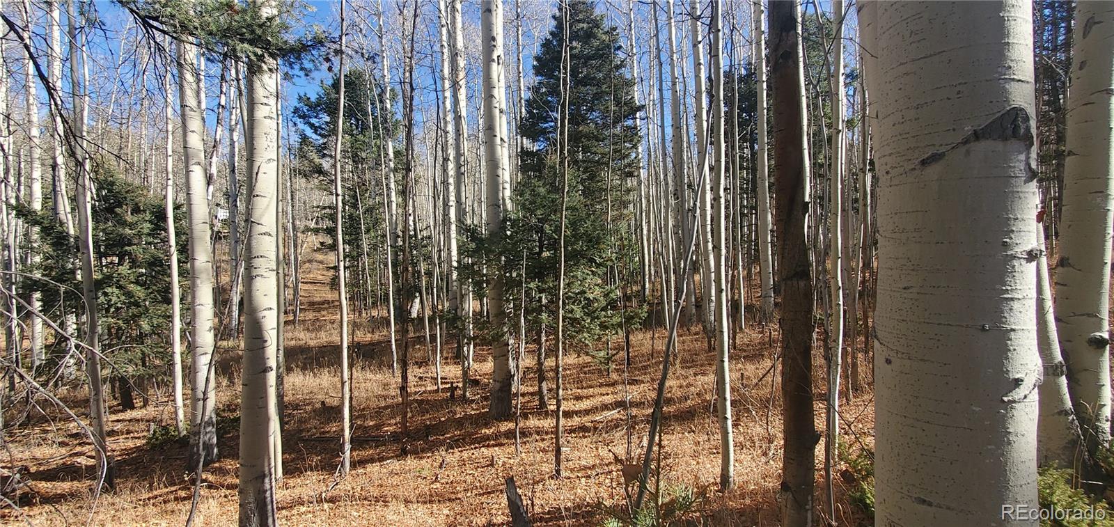 Lot 6060 Forbes Rd Lot 6060, San Luis, CO 81152