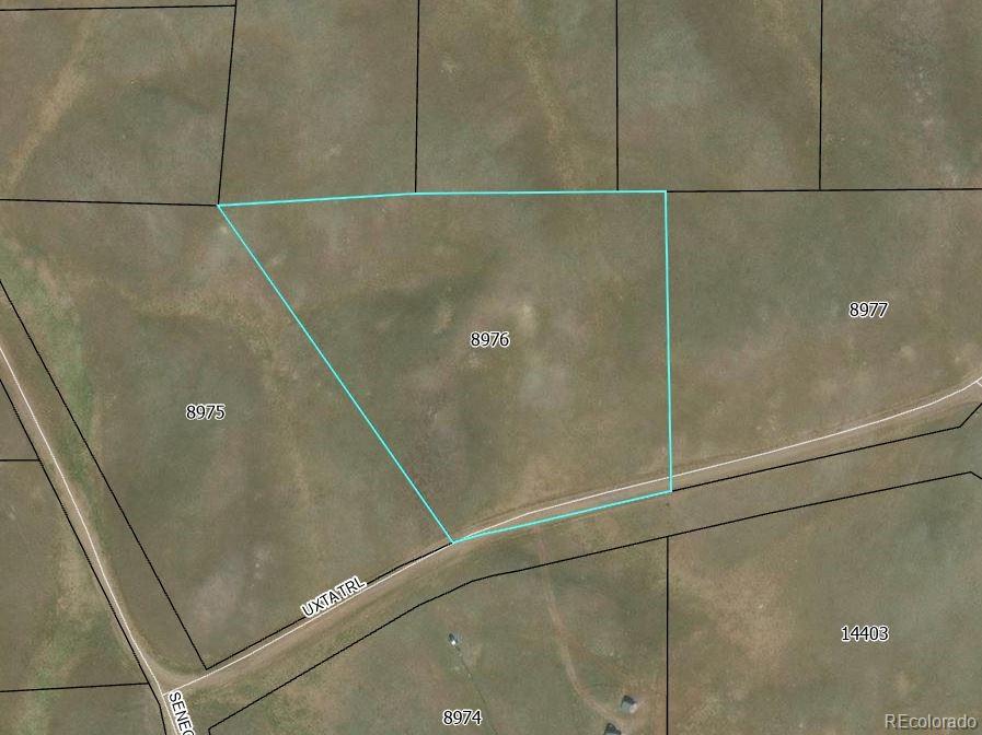 3779 Uxta Trl, Hartsel, CO 80449