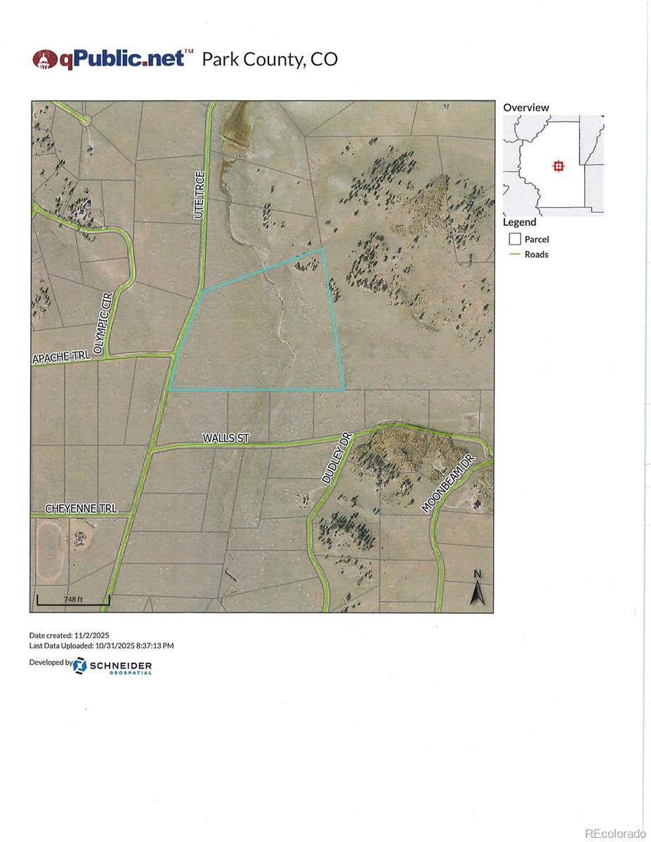1282 Ute Tc, Hartsel, CO 80449