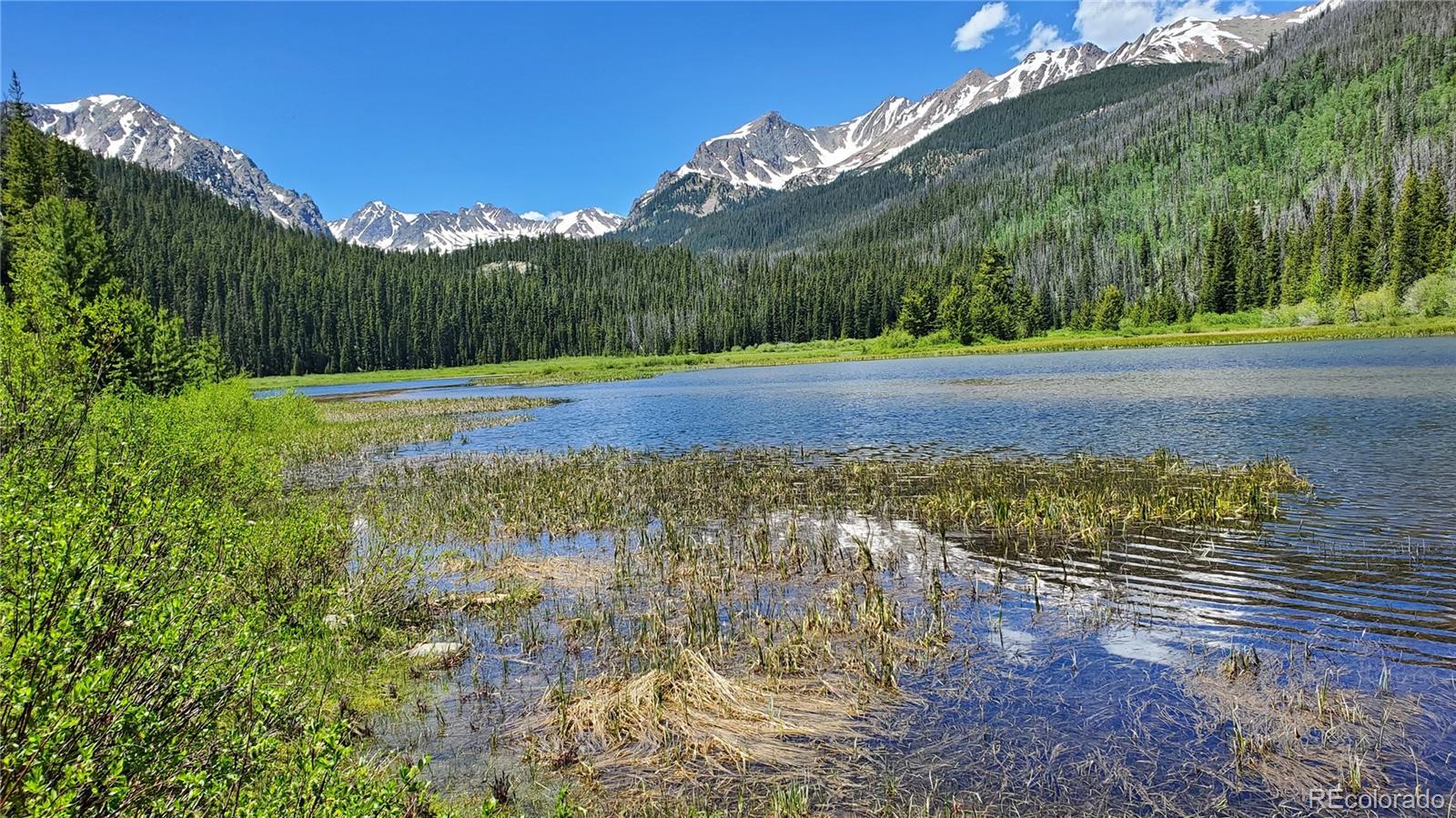 2300 Lodge Pole Cir #101, Silverthorne, CO 80498