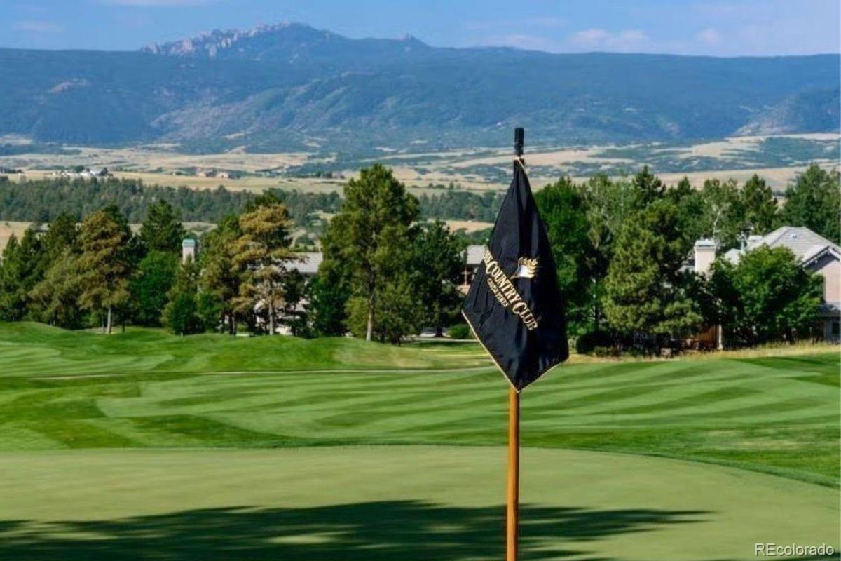 6196 Oxford Peak Ln, Castle Rock, CO 80108