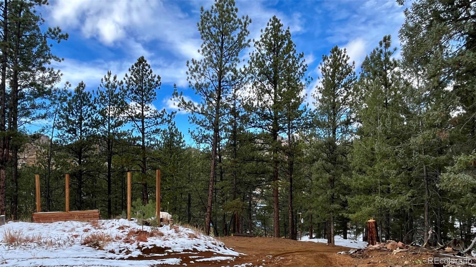 15126 N Pine Lake Pl, Woodland Park, CO 80863