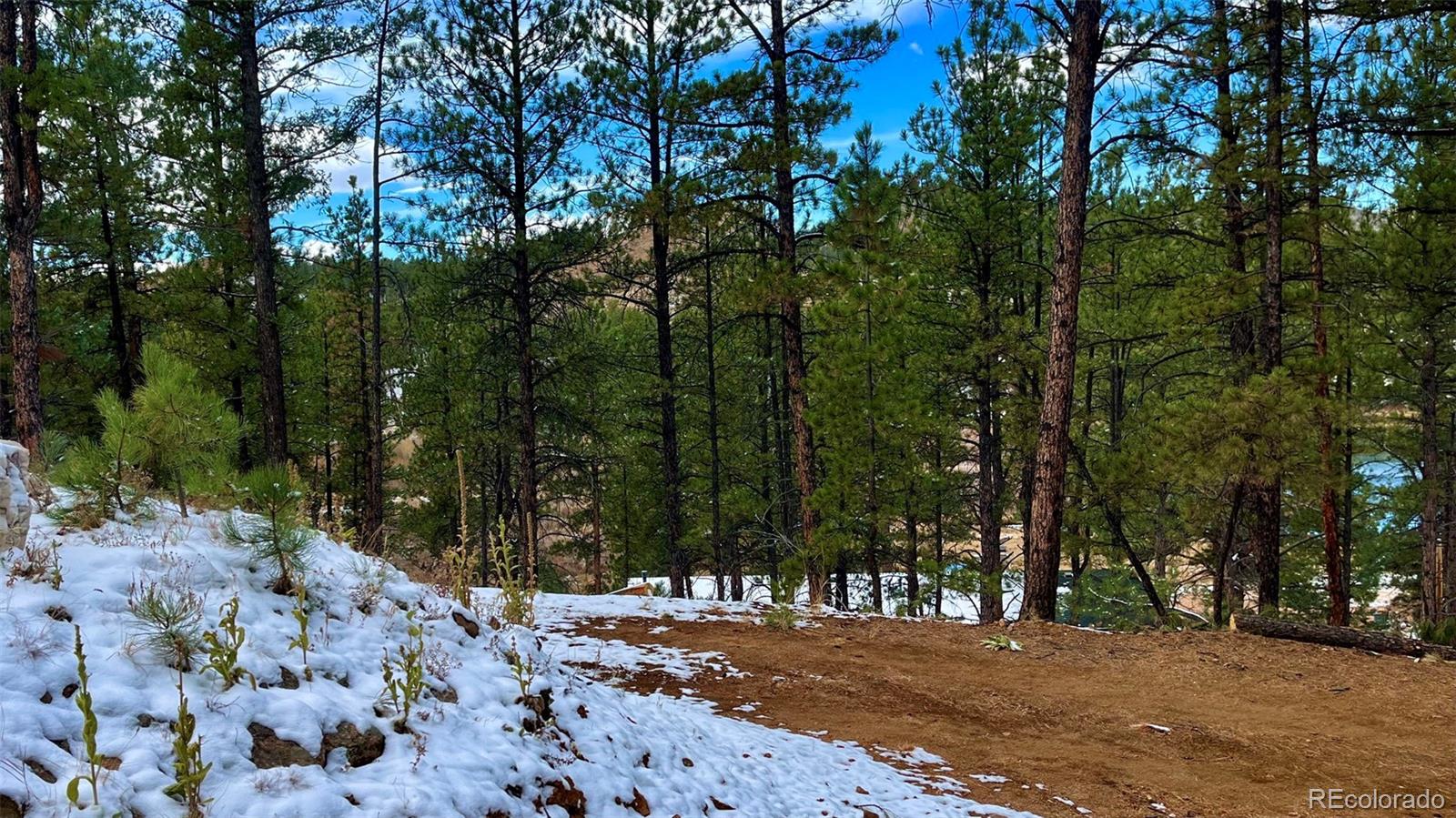 15126 N Pine Lake Pl, Woodland Park, CO 80863