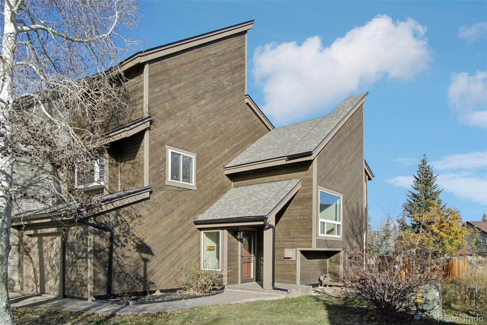 110 Badger Ct, Silverthorne, CO 80498
