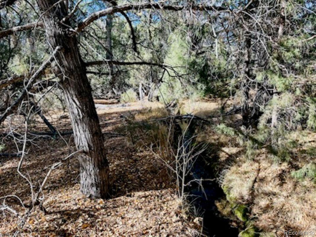 15 Lake Of The Falls Lot 7, Mosca, CO 81146