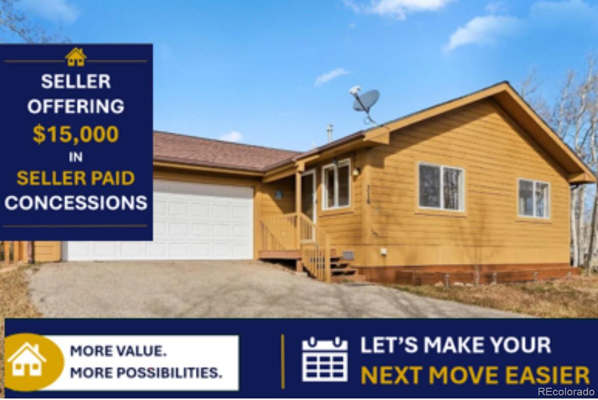 316 3rd St, Fairplay, CO 80440