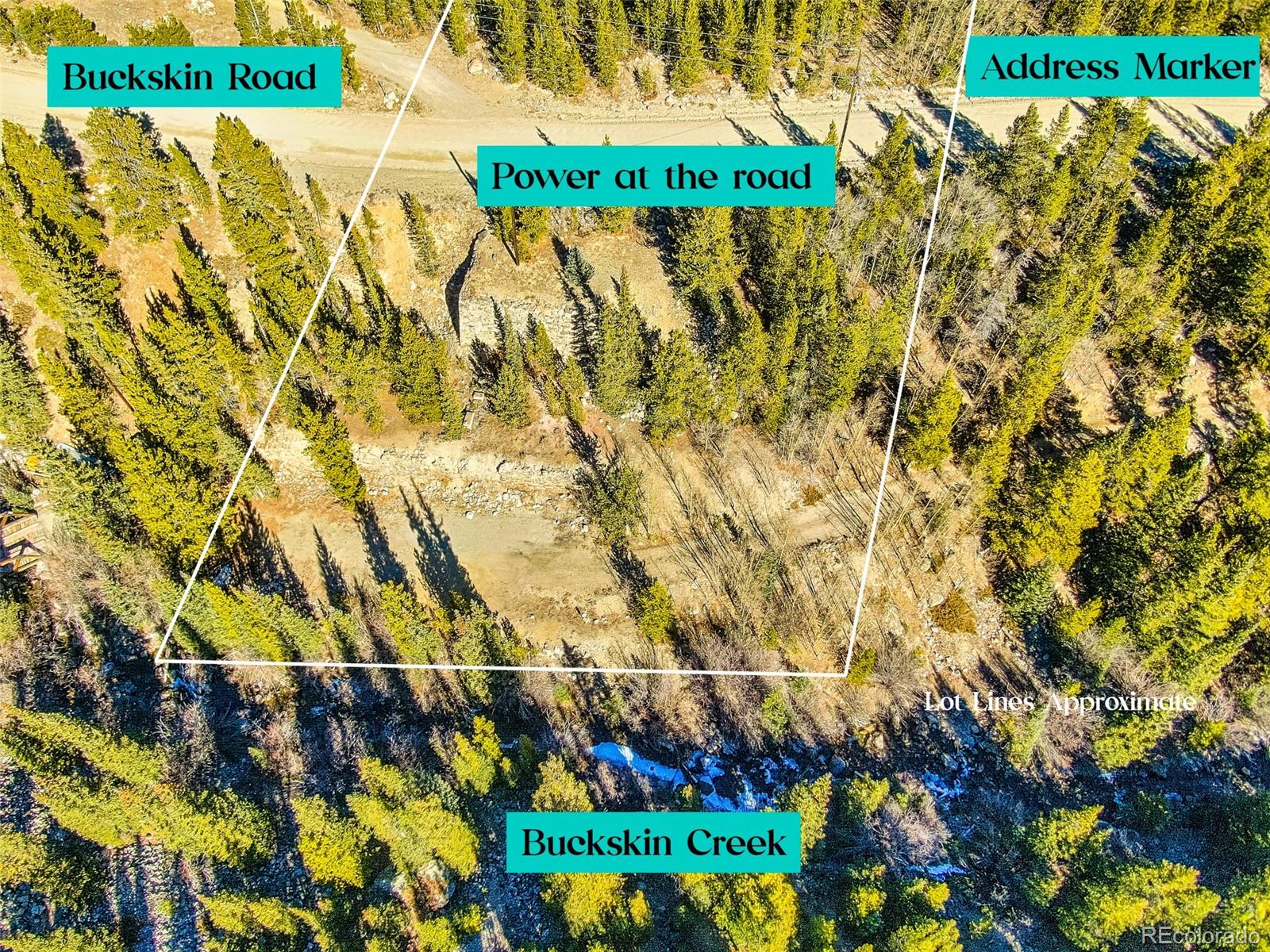 2167 Buckskin Rd, Alma, CO 80420