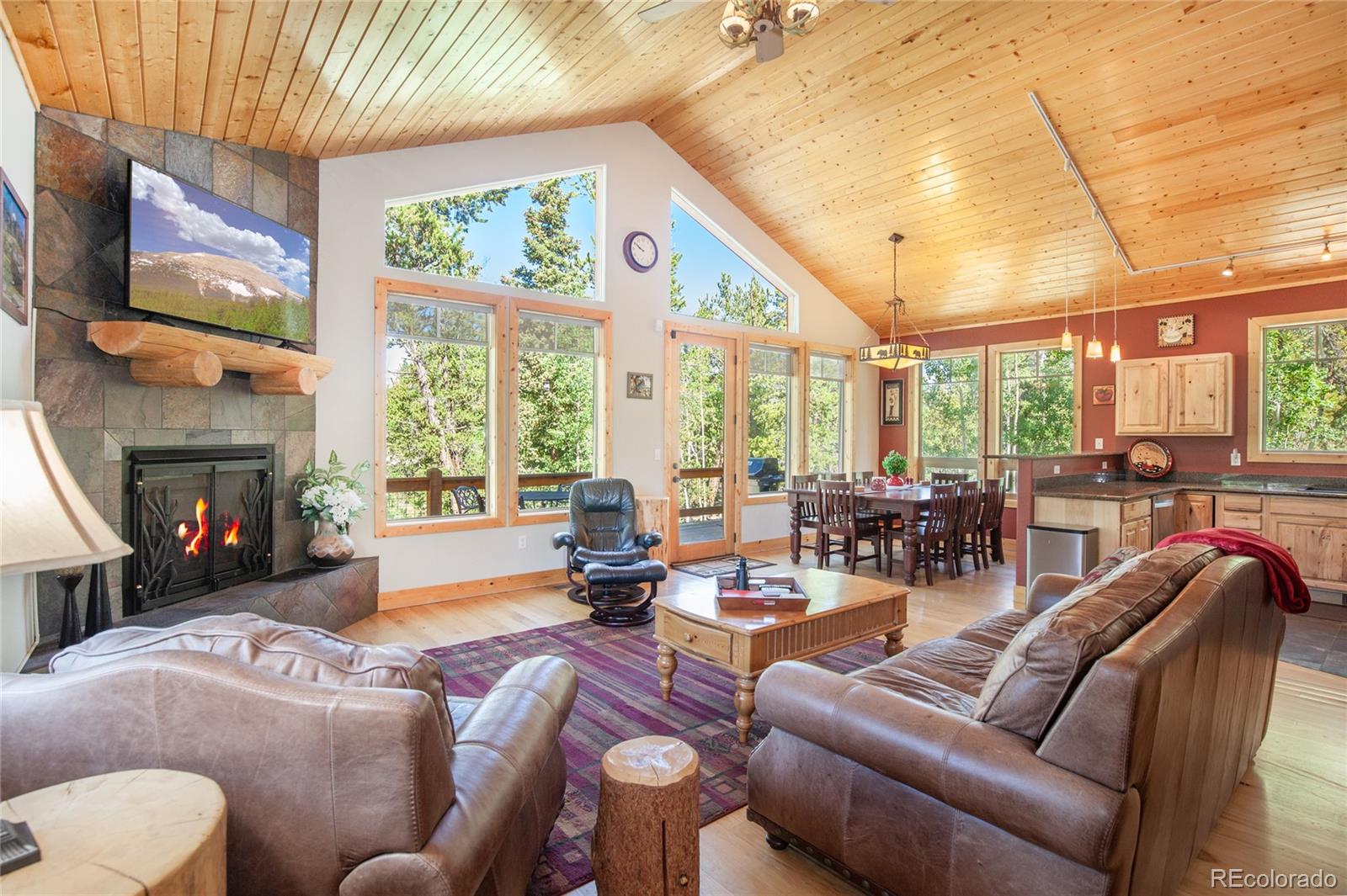 416 Foxtail Dr, Fairplay, CO 80440