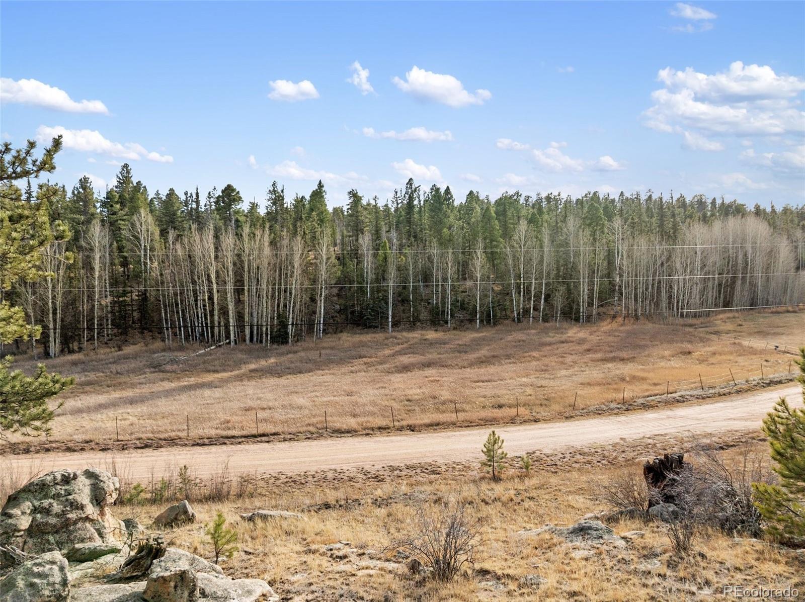 263 Valley Dr, Lake George, CO 80827